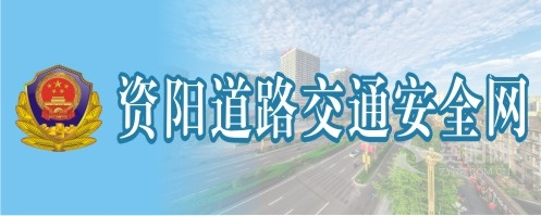 激情插入网站资阳道路交通安全网